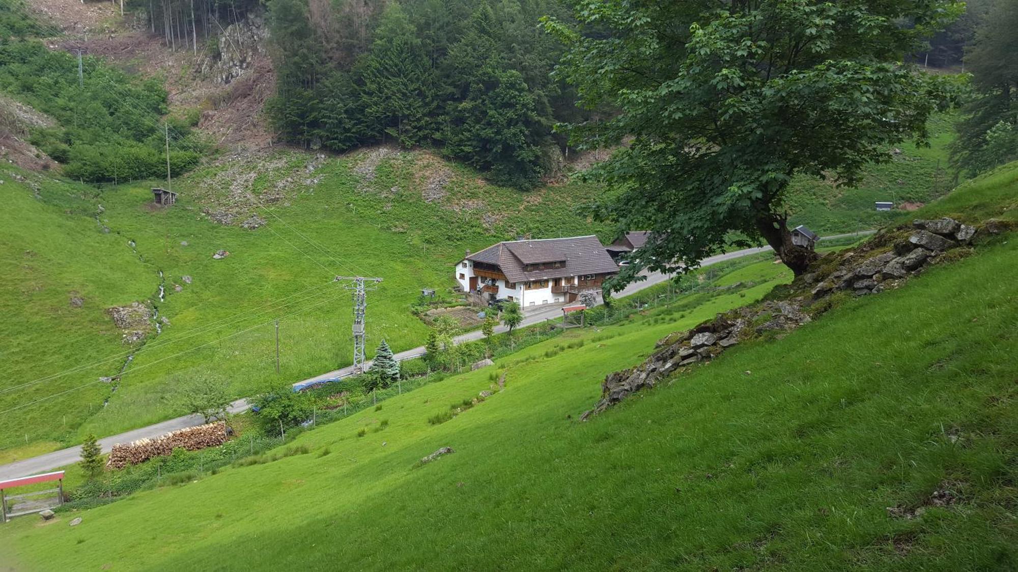 Bauernhaus Im Münstertal Esterno foto