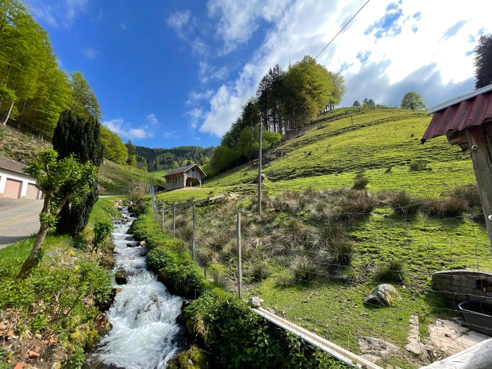 Bauernhaus Im Münstertal Esterno foto