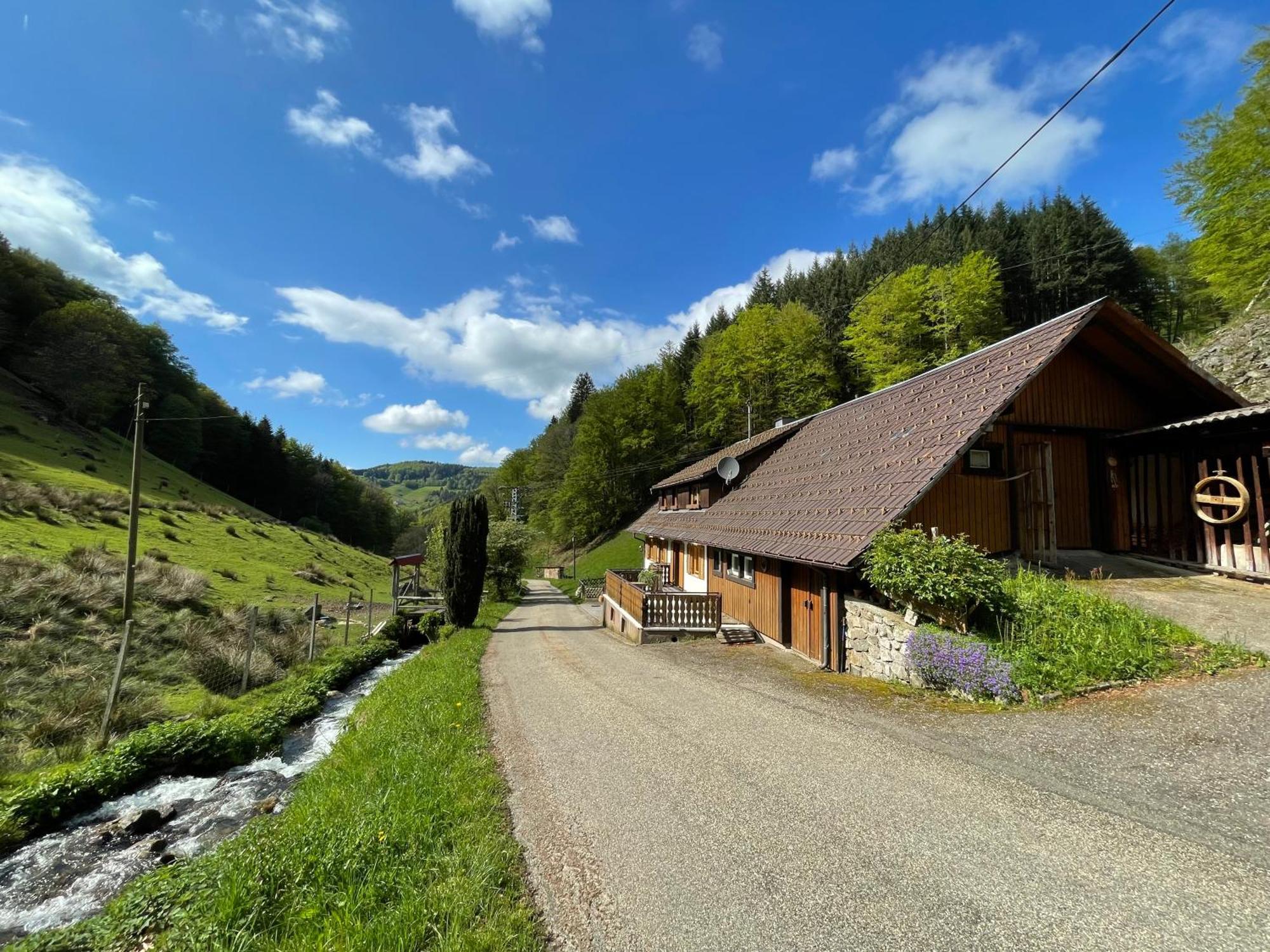 Bauernhaus Im Münstertal Esterno foto