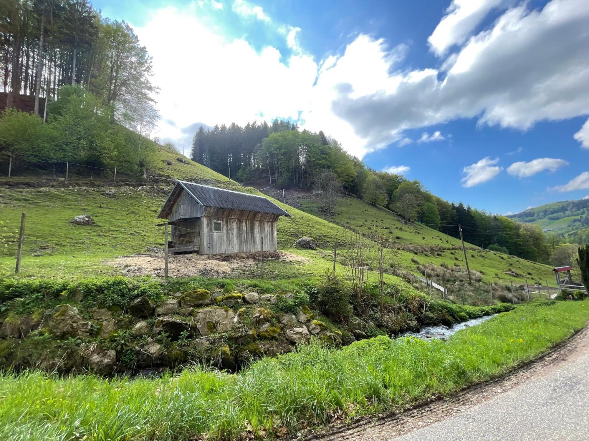 Bauernhaus Im Münstertal Esterno foto
