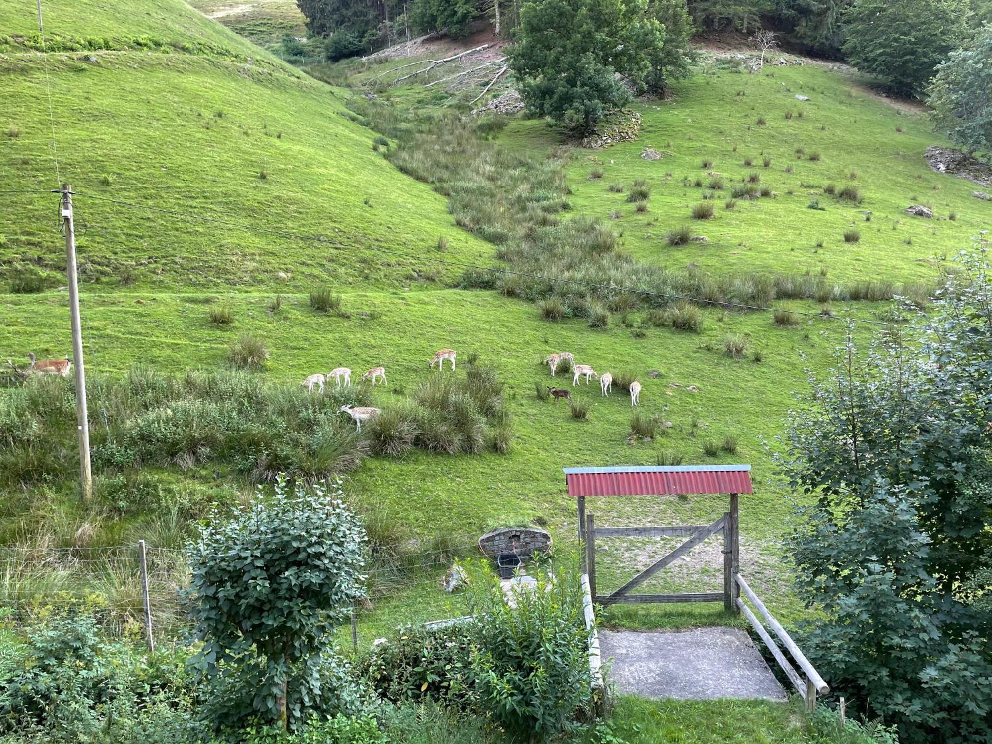 Bauernhaus Im Münstertal Esterno foto