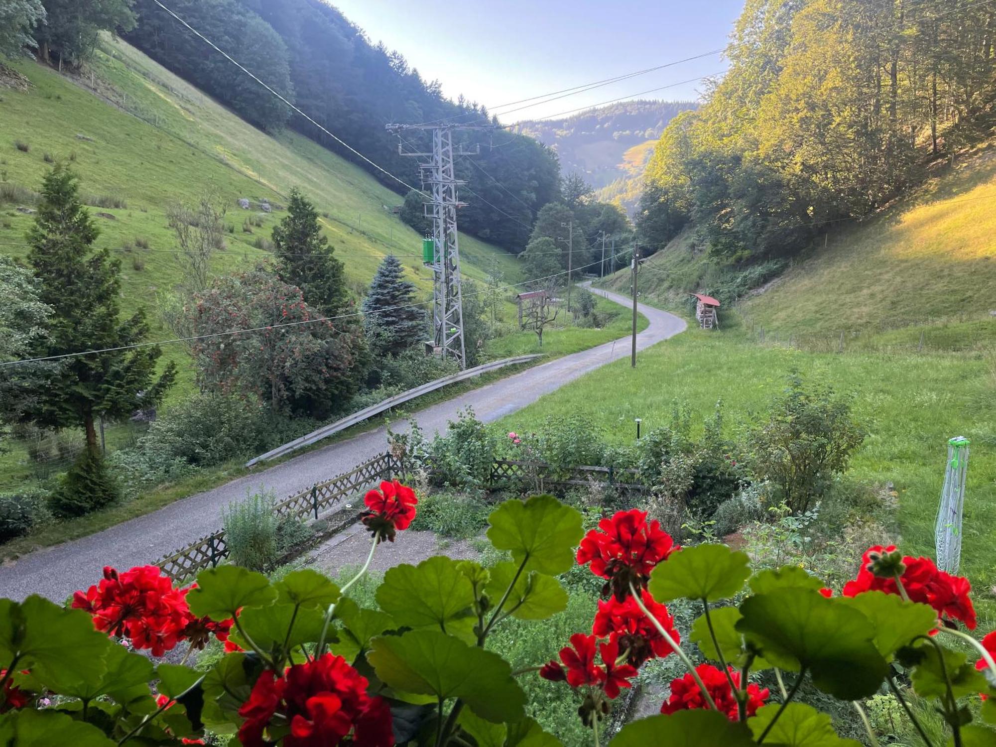 Bauernhaus Im Münstertal Esterno foto