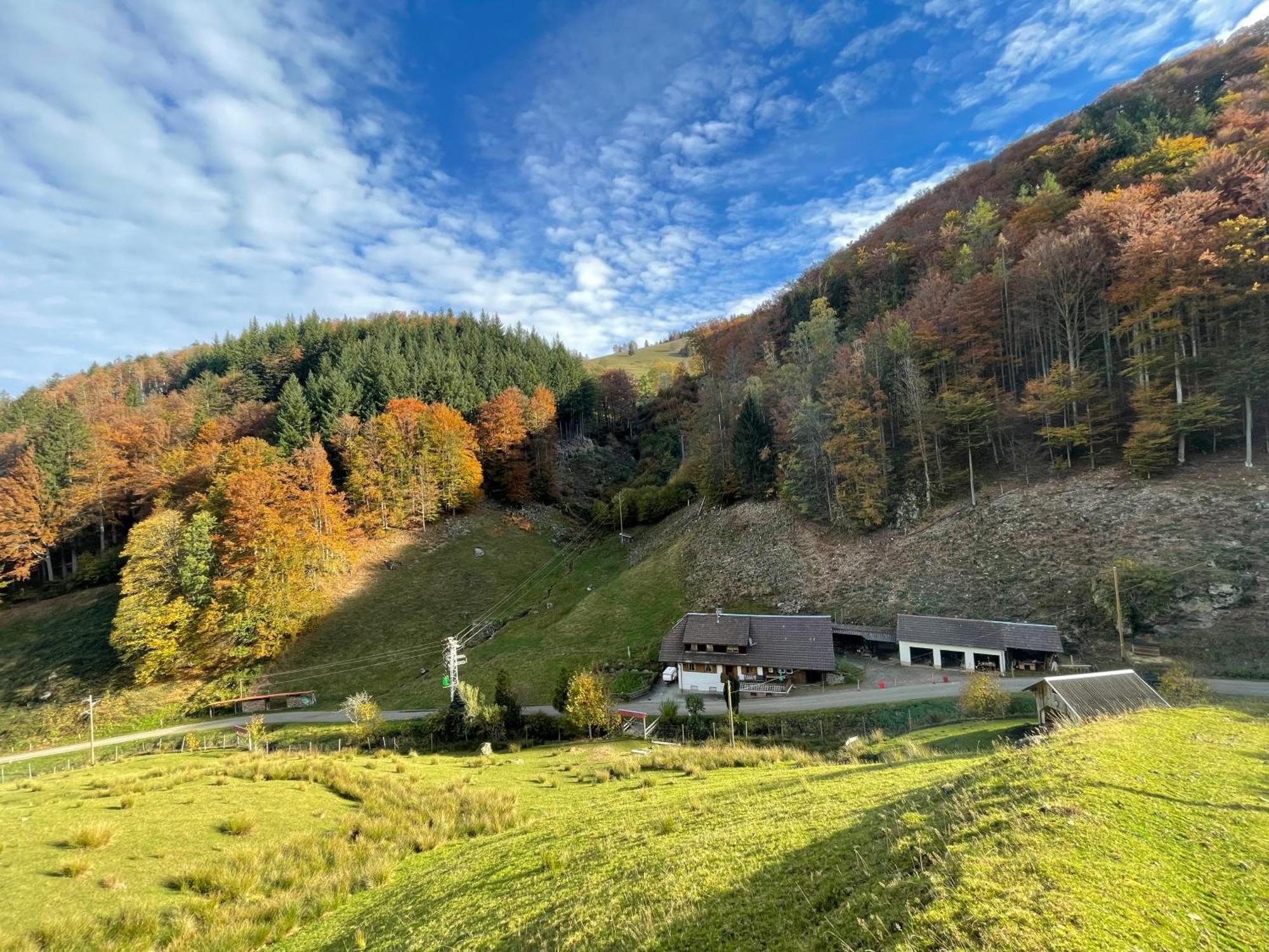 Bauernhaus Im Münstertal Esterno foto